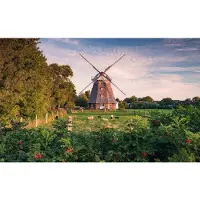 Overig Fotobehang Tage Wie Deze - Meerkleurig - 2,80m X 450cm