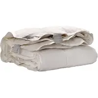ISleep 4-seizoenen Dekbed 60% Dons - Lits-jumeaux Xl 260x220 Cm