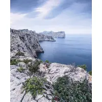 Komar Vliesbehang Digitale print vlies - Bizarre Coast - Afmeting 200 x 250 cm (1 stuk)