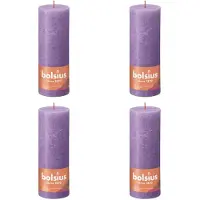 Bolsius Stompkaarsen Shine 4 st rustiek 190x68 mm levendig violet