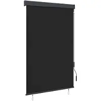 vidaXL Buitenrolgordijn, 120 x 250 cm, antraciet