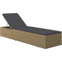 vidaXL Ligbed poly rattan bruin en donkergrijs