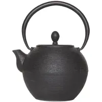 Cosy & Trendy theepot Akita met filter - theezetter voor losse thee