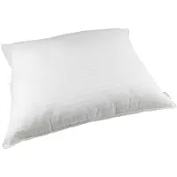 Polydaun Liv hoofdkussen 800 gr. be 60 x 60 cm
