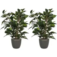 Mica Decorations 2x stuks groene ficus kunstplant 40 cm met plantenpot mat antraciet grijs D13.5 en H12.5 cm - Kunstplanten
