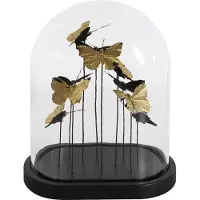 Tom Stolp Isabel Vlinders 26 X 33 Cm Glas Goud/zwart