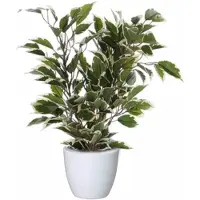 Mica Decorations Groen/witte ficus kunstplant 40 cm met plantenpot glanzend wit D13.5 en H12.5 cm - Kunstplanten