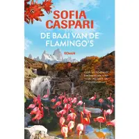 De Fontein De baai van de flamingo's (Paperback)
