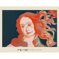 Blokker Andy Warhol - Details Of Renaissance Paintings Kunstdruk 71x56cm