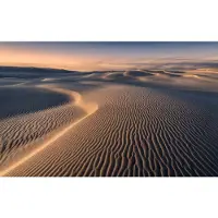 Overig Glow Fotobehang Lines - Bruin - 2,80m X 450cm