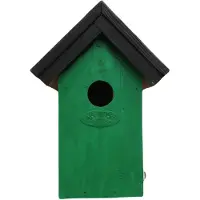 Lifetime Garden Houten vogelhuisje/nestkastje 22 cm - zwart/groen Dhz schilderen pakket - Vogelhuisjes