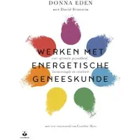 Harper Werken met energetische geneeskunde - Donna Eden