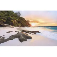 Komar Vliesbehang Digitale print vlies - Nature - Afmeting 400 x 250 cm (1 stuk)