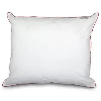 Snoozing Swiss Dreams synthetisch medium hoofdkussen
