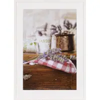 Henzo Jardin 70x100cm Wit 84.942.02 Fotokader