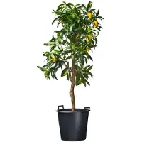 Nature Ritzi Container Zwart - Kweekbenodigdheden - H36.5 x Ø41.5 cm