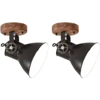 Möbelando vidaXL Wand- en plafondlamp, industriële stijl, 2 stuks, zwart, 20x25 cm, E27