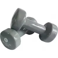 SVELTUS Dumbbell Epoxy 2 X 3 Kg Grijs
