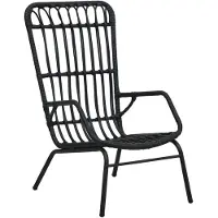 vidaXL Tuinstoel, polyrotan, zwart