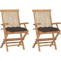 vidaXL Klapstoelen met taupekleurige kussens, 2 stuks, massief teakhout