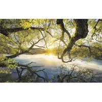 Komar Vliesbehang Digitale print vlies - Golden Embrace - Afmeting 400 x 250 cm (1 stuk)