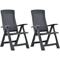 vidaXL Tuinstoelen 2 st verstelbaar kunststof antracietkleurig