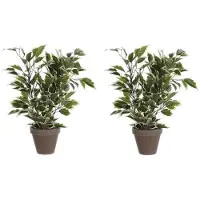 Mica Decorations 2x Groen/witte ficus kunstplanten 40 cm - Kunstplanten