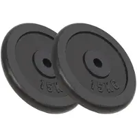 vidaXL Halterschijven 2 st 2x15 kg gietijzer