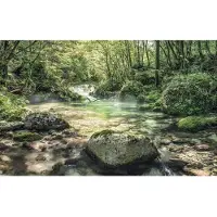Komar Vliesbehang Digitale print vlies - Tranquil Pool - Afmeting 400 x 250 cm (1 stuk)