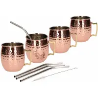 Cosy & Trendy Set van 4 cocktailbekers met RVS rietjes - Cocktailglazen
