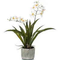 Emerald Witte Orchidee Orchidaceae Kunstplant In Keramische Pot 45 Cm - Kunstplanten