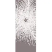 Komar Fotobehang vlies Veer 100x250 cm