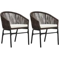 vidaXL Tuinstoelen 2 st PE-rattan bruin