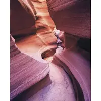 Komar Vliesbehang Digitale print vlies - Lost in Color - Afmeting 200 x 250 cm (1 stuk)