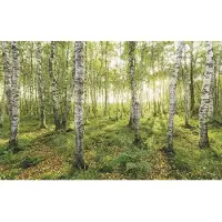 Komar Vliesbehang Digitale print vlies - Birch Trees - Afmeting 400 x 250 cm (1 stuk)