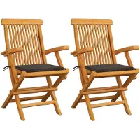 vidaXL Tuinstoelen 2 st met taupe kussens massief teakhout