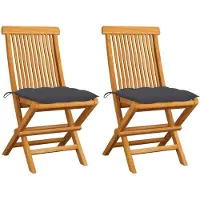 vidaXL Inklapbare stoelen 2 st met antracietkleurige kussens