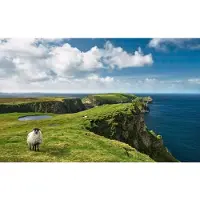 Overig Fotobehang Green Ireland - Meerkleurig - 2,80m X 450cm