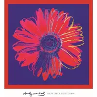 Blokker Andy Warhol - Daisy 1982 Kunstdruk 90x90cm