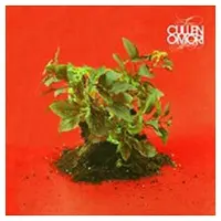 Konkurrent Cullen Omori - New Misery (LP)