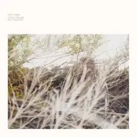 Konkurrent Luke Temple - A Hand Through The Cellar Door (LP)
