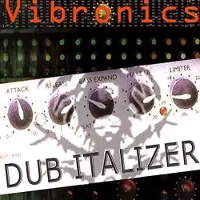 RecordCityJP Dub Italizer