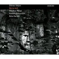OUTHERE Dénes Vérjon - De La Nuit (CD)
