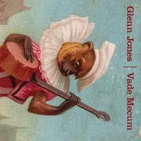 Konkurrent Glenn Jones - Vade Mecum (LP) (Limited Edition) (Coloured Vinyl)