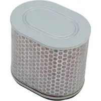 Hiflofiltro Honda Hfa1713 Luchtfilter