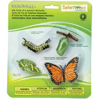 Safari Ltd Levenscyclus van een monarchvlinder
