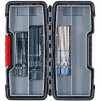 Bosch 30-delige Decoupeerzaagbladenset (hout en metaal)