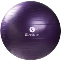 SVELTUS Gymball boîte 75cm