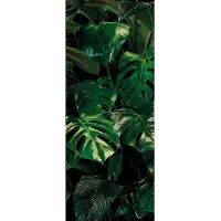Komar Vliesbehang Digitale print vlies - Tropical Wall Panel - Afmeting 100 x 250 cm (1 stuk)