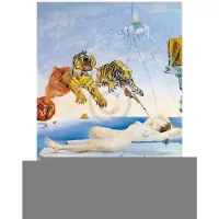 Blokker Salvador Dali - Une Seconde Avant L'eveil Kunstdruk 60x80cm